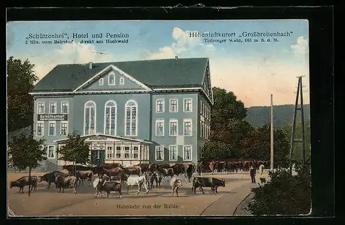 AK Grossbreitenbach, Hotel u. Pension Schützenhof, Kühe kehren von der Weide heim