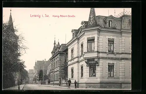 AK Leisnig i. Sa., Häuser in der König-Albert-Strasse