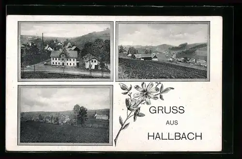 AK Hallbach, Panorama, Ortspartie, Strassenpartie