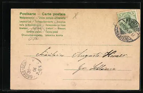 AK Jahreszahl 1905 aus Vergissmeinnicht mit Kleeblättern