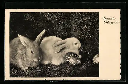 AK Osterhasen mit Osterei