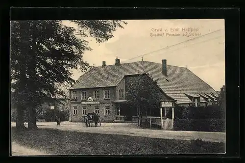 AK Süsel, Gasthof-Pension E. Halfpap, Strassenansicht mit Kutsche