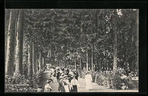 AK Veitshöchheim, Partie im Kgl. Hofgarten