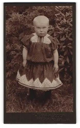 Fotografie Otto Ahlreep, Mölln, Kleines Kind mit kurzen Haaren und Kleid vor Rhododendron