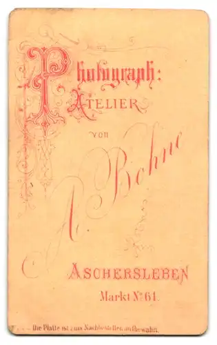 Fotografie A. Bohne, Aschersleben, Markt 61, Bürgerlicher junger Mann mit Bücher