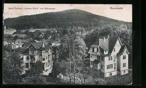 AK Herrenalb, Blick auf Hotel Pension Grüner Wald mit Nebenhaus aus der Vogelschau