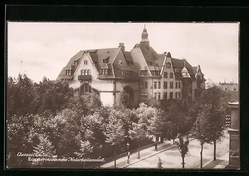 AK Chemnitz /Sa., Zimmermannsche Naturheilanstalt mit Strasse aus der Vogelschau