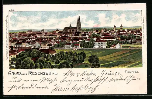 Lithographie Regensburg, Ortsansicht aus der Ferne