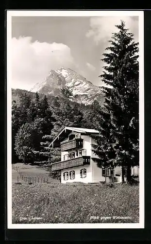 AK Hinterschönau b. Berchtesgaden, Berghof Schapbach, Blick gegen Watzmann