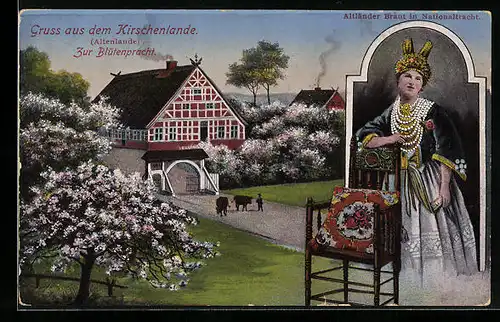 AK Jork, Altländer Braut in Nationaltracht mit Kirschblüten im Altenlande