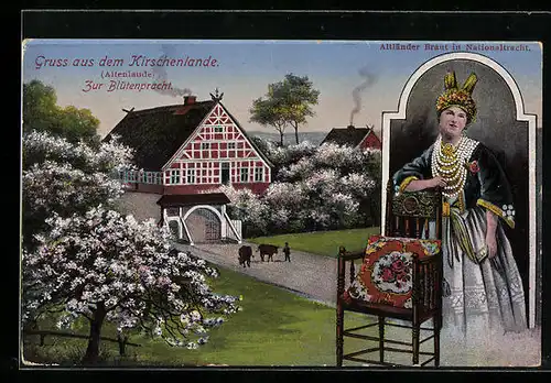 AK Jork, Altländer Braut in Nationaltracht mit Kirschblüten im Altenlande