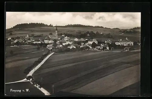 AK Freyung i. W., Ortsansicht aus der Vogelschau