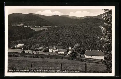 AK Sommerau / Bayr. Wald, Blick zum Schwarzeck