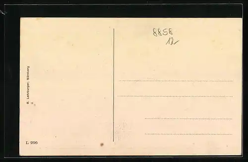 AK Neuburg a. D., Amalienstrasse mit Schloss-Kaserne