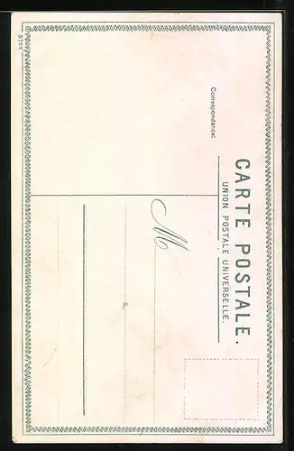 AK Constantinople, Noble türkische Dame