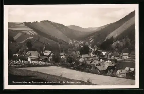 AK Blumenau-Mellenbach, Totalansicht der Sommerfrische