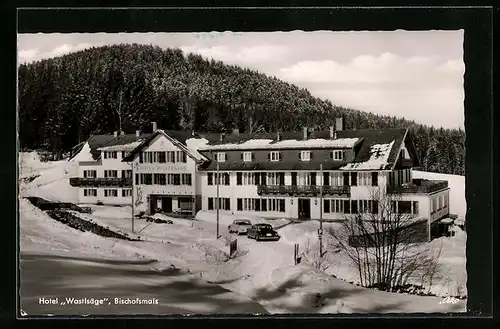 AK Bischofsmais /Regen, Hotel Wastlsäge