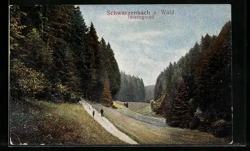AK Schwarzenbach a. Wald, Türkengrund im Wald