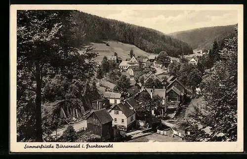 AK Dürrenwaid /Frankenwald, Blick auf den Ort im Tal