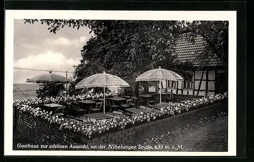 AK Lindenfels i. Odenwald, Gasthaus zur schönen Aussicht an der Nibelungen Strasse
