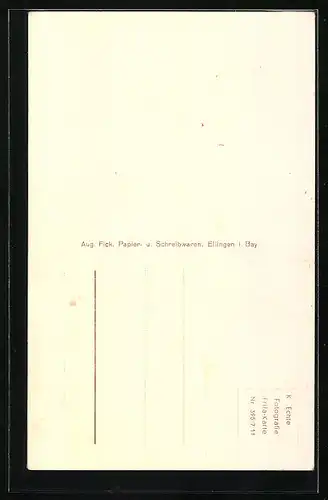 AK Ellingen i. Bay., Hauptstrasse mit Gasthof Römischer Kaiser, Aussen- und Saalansicht