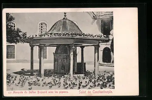 AK Constantinople, Mosquée du Sultan Bayazid avec les pigeons