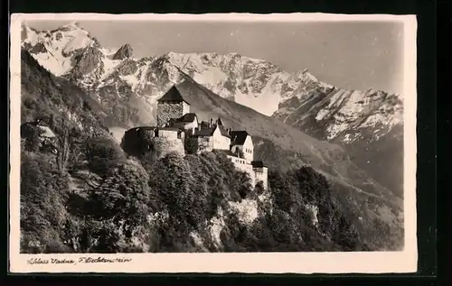 AK Vaduz, Schloss mit Gebirgswand