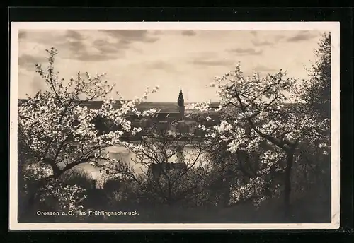 AK Crossen a. O., Ortspartie im Frühlingsschmuck