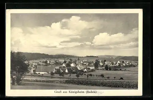 AK Königsheim / Baden, Panoramablick von der Feldwiese aus gesehen