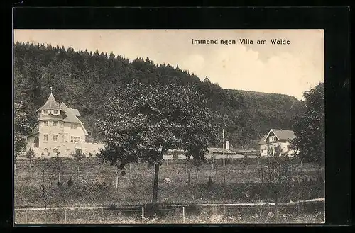 AK Immendingen a. D., Villa am Walde