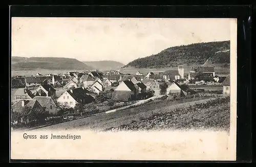 AK Immendingen a. D., Gesamtansicht