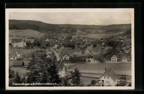 AK Immendingen a. D., Gesamtansicht