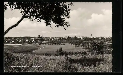 AK Wiesbaden-Igstadt, Totalansicht