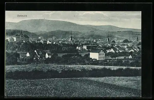 AK Detmold, Panoramablick von der Bergwiese