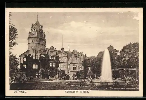 AK Detmold, Fürstliches Schloss