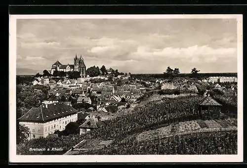 AK Breisach a. Rhein, Totale mit Schloss