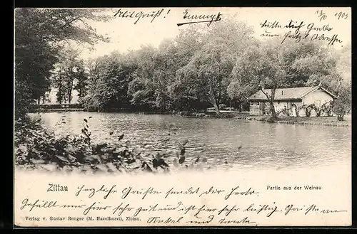 AK Zittau, Partie aus der Weinau