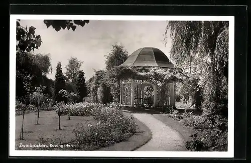 AK Zweibrücken, Rosengarten mit Pavillon