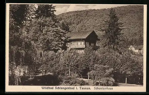 AK Wildbad Schlangenbad i. Taunus, Schweizerhaus im Waldgebiet