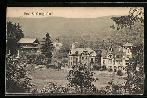 AK Bad Schlangenbad, Ortsansicht