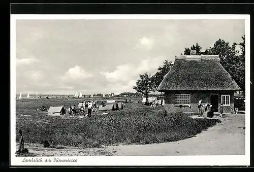 AK Lembruch / Dümmersee, Gasthaus Brinkmeyer's Strandlust