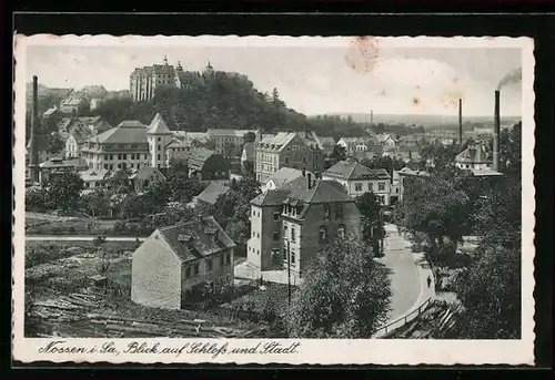 AK Nossen i. Sa., Blick auf Schloss und Stadt