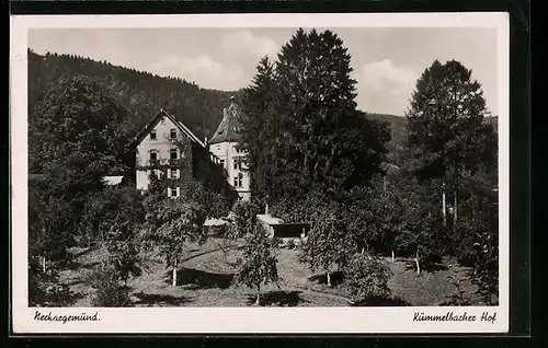 AK Neckargemünd, Kümmelbacher Hof mit Garten