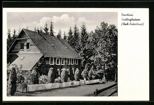 AK Siedlinghausen /Hoch-Sauerland, Partie am Forsthaus