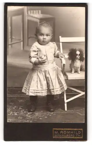 Fotografie M. Römhild, Sonneberg /Th., Kleinkind im Kleidchen neben Spielzeughund