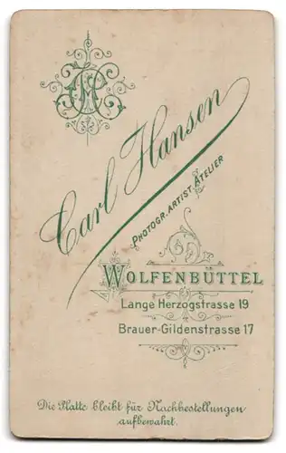 Fotografie C. Hansen, Wolfenbüttel, Lange Herzogstrass 19, Junger Mann mit Mittelscheitel und heller Krawatte