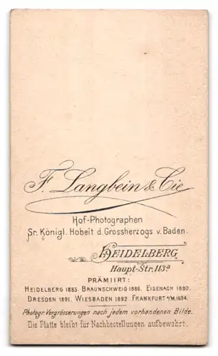 Fotografie F. Langbein & Cie., Heidelberg, Haupt-Strasse 113a, Junger bartloser Mann mit gescheiteltem Haar und Krawatte