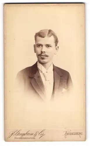 Fotografie F. Langbein & Cie., Heidelberg, Haupt-Strasse 113a, Junger Mann mit Schnurrbart und gestreifter Krawatte