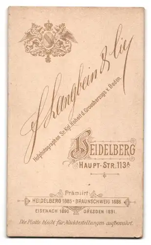 Fotografie F. Langbein & Cie., Heidelberg, Haupt-Strasse 113a, Junger Mann mit Schnurrbart und gestreifter Krawatte