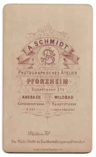 Fotografie A. Schmidt, Pforzheim, Enzstr. 7 1 /2, Bürgerliche Dame mit zurückgebundenem Haar